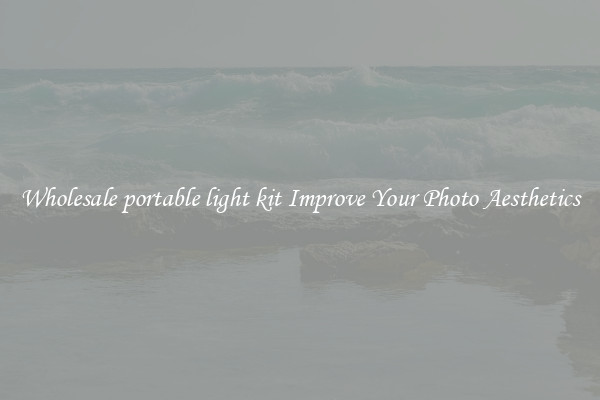 Wholesale portable light kit Improve Your Photo Aesthetics