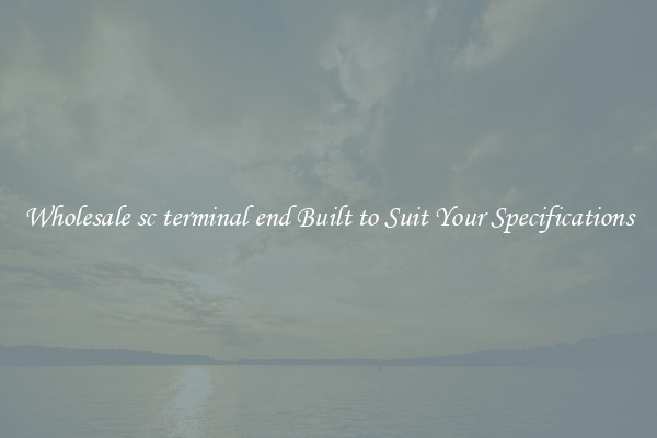 Wholesale sc terminal end Built to Suit Your Specifications