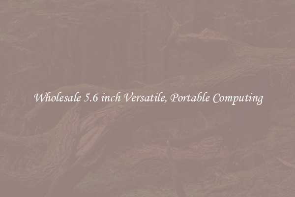 Wholesale 5.6 inch Versatile, Portable Computing