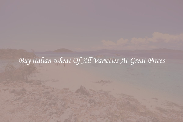 Buy italian wheat Of All Varieties At Great Prices