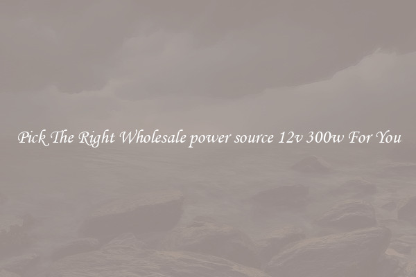 Pick The Right Wholesale power source 12v 300w For You