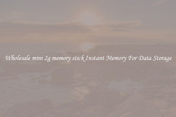 Wholesale mini 2g memory stick Instant Memory For Data Storage