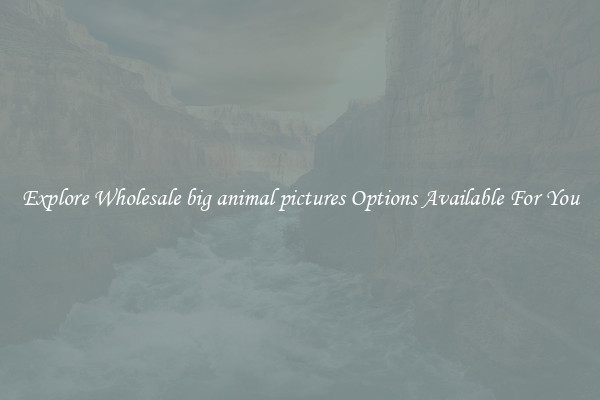 Explore Wholesale big animal pictures Options Available For You
