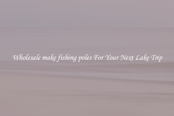 Wholesale make fishing poles For Your Next Lake Trip