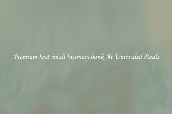 Premium best small business bank At Unrivaled Deals