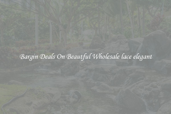 Bargin Deals On Beautful Wholesale lace elegant