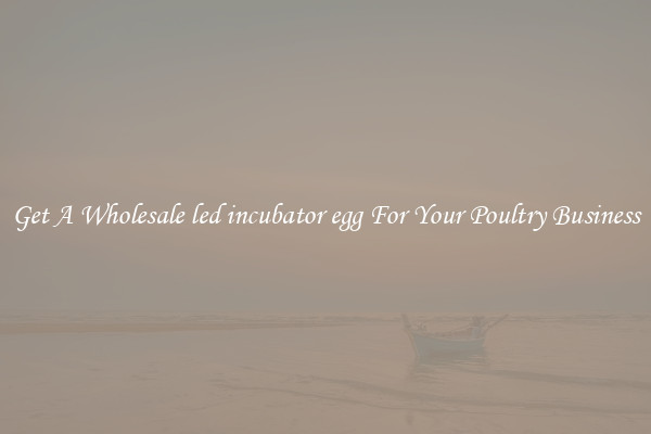 Get A Wholesale led incubator egg For Your Poultry Business