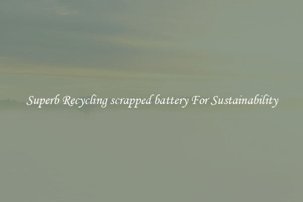 Superb Recycling scrapped battery For Sustainability