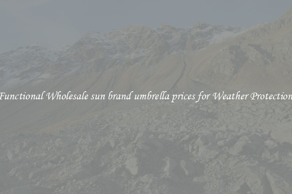 Functional Wholesale sun brand umbrella prices for Weather Protection 