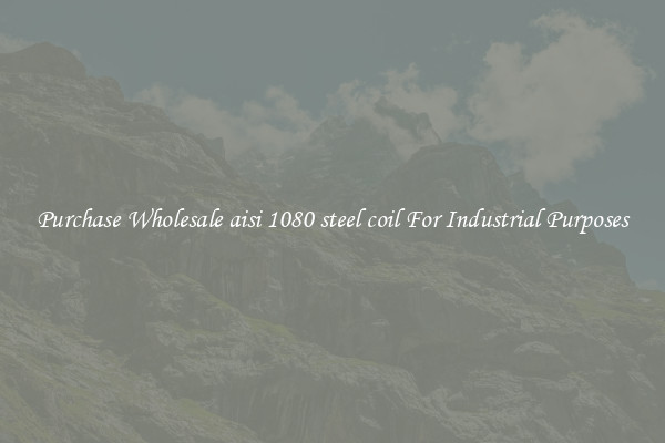 Purchase Wholesale aisi 1080 steel coil For Industrial Purposes