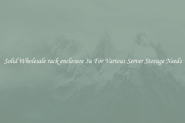 Solid Wholesale rack enclosure 3u For Various Server Storage Needs
