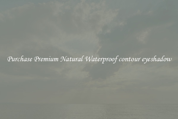 Purchase Premium Natural Waterproof contour eyeshadow