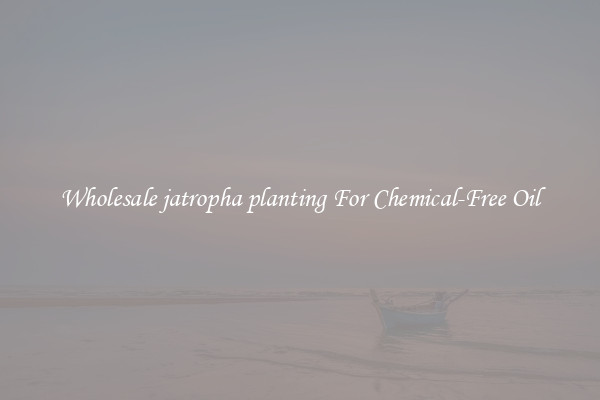 Wholesale jatropha planting For Chemical-Free Oil