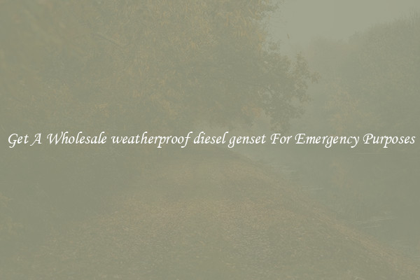 Get A Wholesale weatherproof diesel genset For Emergency Purposes
