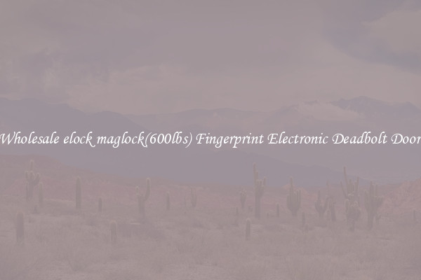 Wholesale elock maglock(600lbs) Fingerprint Electronic Deadbolt Door 