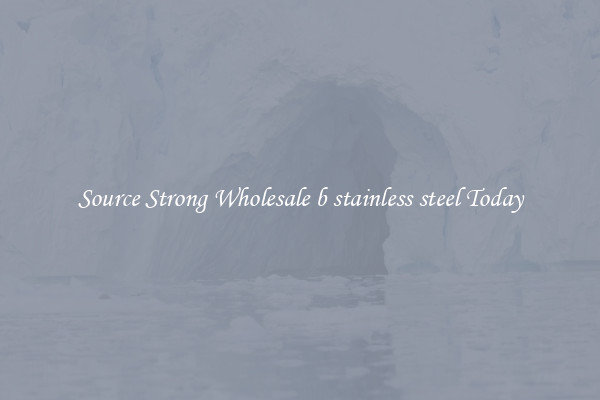 Source Strong Wholesale b stainless steel Today