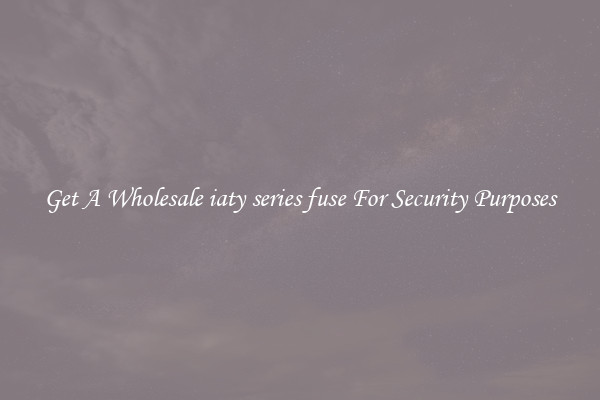 Get A Wholesale iaty series fuse For Security Purposes